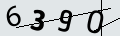 verifycode